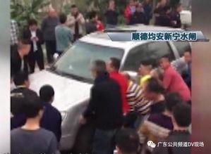 吃瓜群众合力救人视频大全,吃瓜群众合力救人视频大盘点