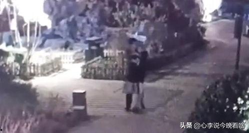 武汉跳舞吃瓜视频完整版,一场不可错过的街头舞蹈盛宴