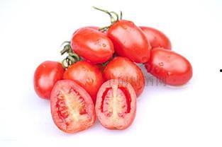 吃瓜网红圣女果视频,吃瓜群众的美食新宠