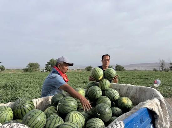 每天一个吃瓜视频,揭秘娱乐圈那些不为人知的幕后故事
