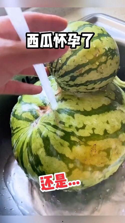 买瓜吃瓜搞笑视频大全,买瓜吃瓜搞笑视频大盘点