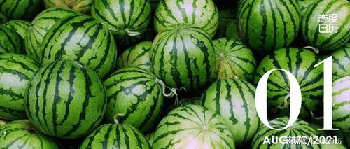 最新发吃瓜的视频,娱乐圈风云再起，幕后真相曝光！