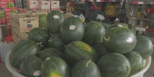 盐城吃瓜视频,揭秘当地美食文化盛宴