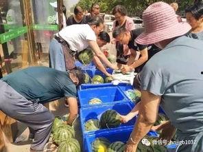 青州幼儿园吃瓜事件视频,幼儿被喂食不明瓜果引发关注