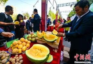 莫斯科吃瓜视频大全最新,吃瓜视频大全带你领略异国风味