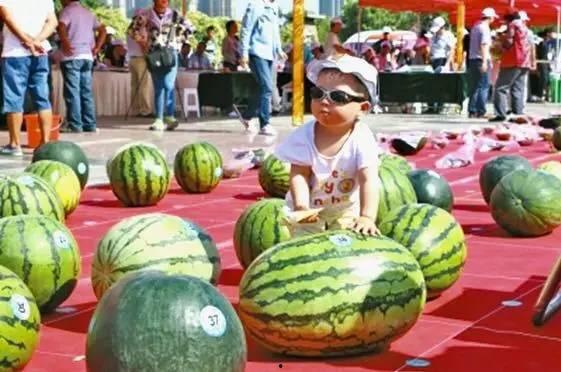 龙泉吃瓜事件视频最新,一场网络狂欢背后的真相与反思