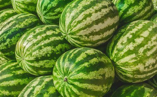 吃一个大瓜的视频大全,揭秘热门吃瓜视频大全