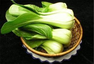 芒瓜能做什么菜吃啊视频