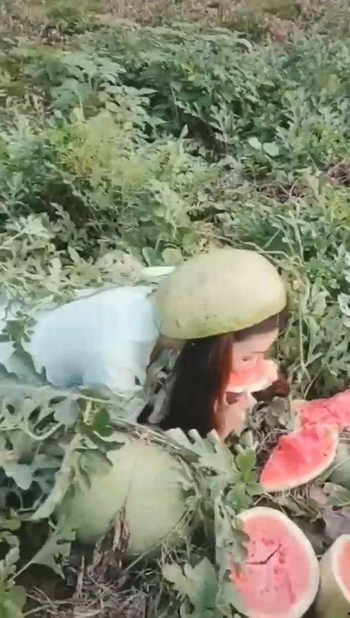 吃瓜漂亮小姐姐视频