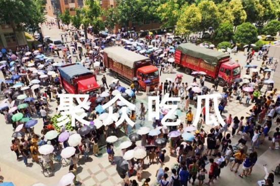 多人聚众吃瓜视频大全,揭秘热门聚众吃瓜视频背后的故事