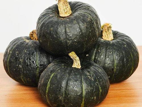 小宝宝吃贝贝瓜视频