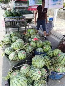 泉州万达吃瓜事件真相视频