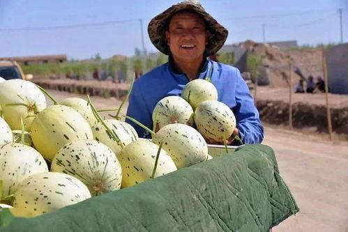 甘肃定西吃瓜事件视频,一场引发热议的街头冲突瞬间
